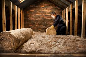 Best Eco-Friendly or Green Insulation Solutions  in Cape Coral, FL